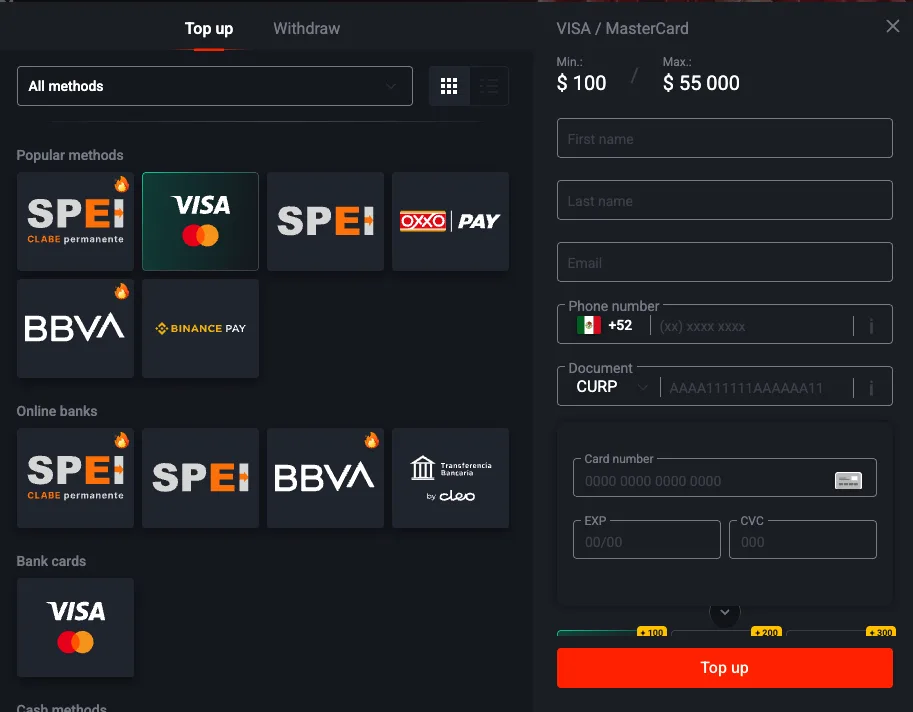 Pin Up top-up screen showing cards wallets and local payment methods